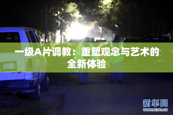 一级A片调教：重塑观念与艺术的全新体验