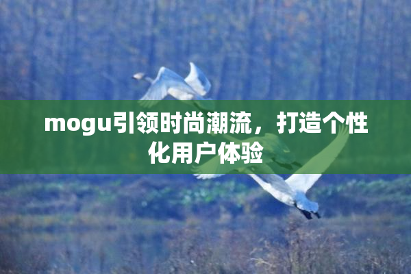 mogu引领时尚潮流，打造个性化用户体验