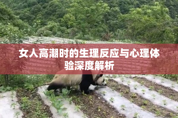 女人高潮时的生理反应与心理体验深度解析