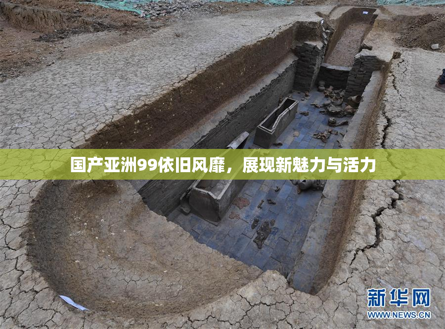 国产亚洲99依旧风靡，展现新魅力与活力