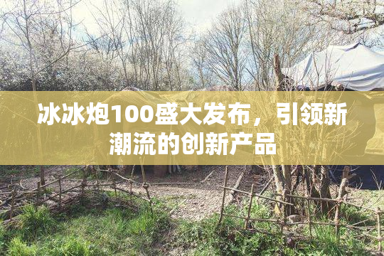 冰冰炮100盛大发布，引领新潮流的创新产品