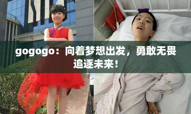 gogogo：向着梦想出发，勇敢无畏追逐未来！