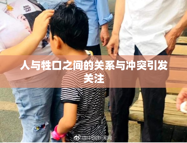人与牲口之间的关系与冲突引发关注