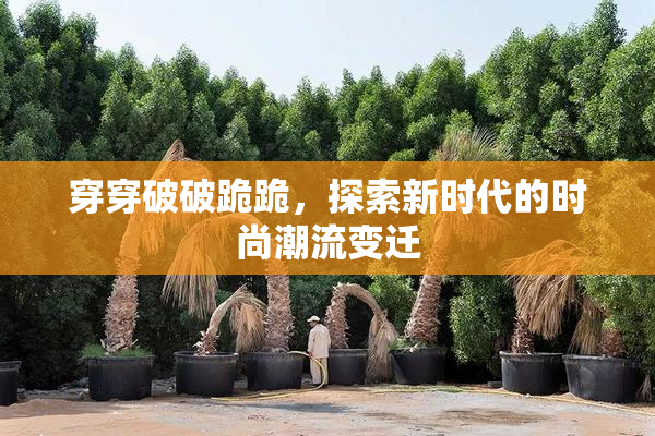 穿穿破破跪跪，探索新时代的时尚潮流变迁