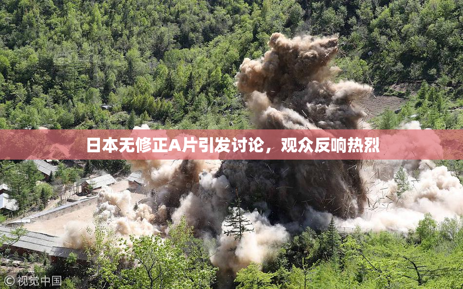 日本无修正A片引发讨论，观众反响热烈