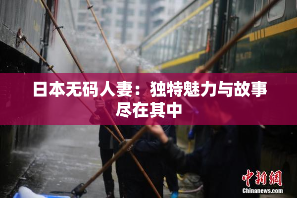 日本无码人妻：独特魅力与故事尽在其中