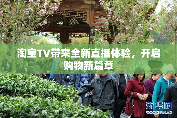 淘宝TV带来全新直播体验，开启购物新篇章