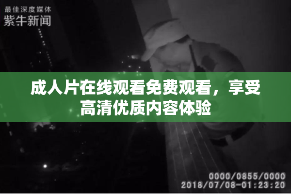 成人片在线观看免费观看，享受高清优质内容体验