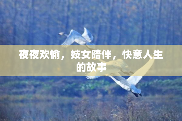 夜夜欢愉，妓女陪伴，快意人生的故事