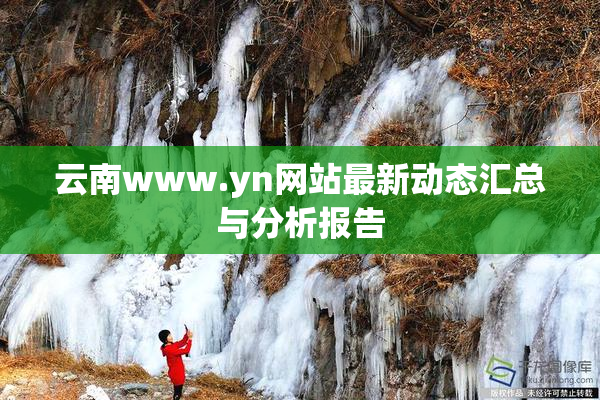 云南www.yn网站最新动态汇总与分析报告