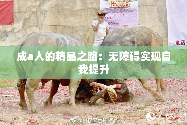 成a人的精品之路：无障碍实现自我提升