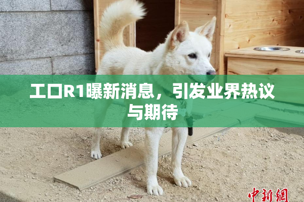工口R1曝新消息，引发业界热议与期待