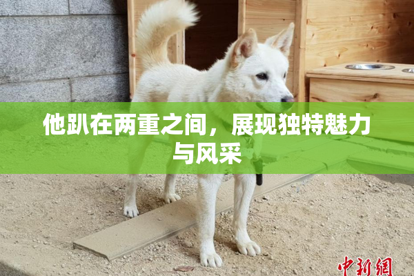 他趴在两重之间，展现独特魅力与风采