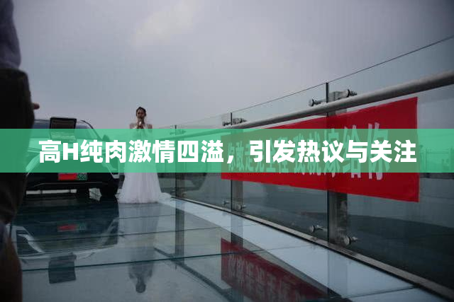 高H纯肉激情四溢，引发热议与关注