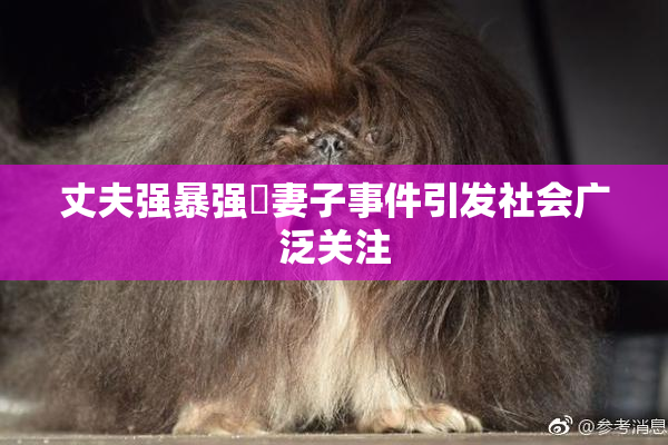 丈夫强暴强姦妻子事件引发社会广泛关注