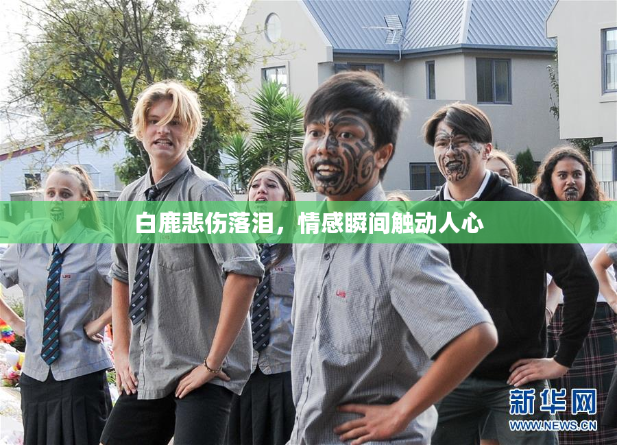 白鹿悲伤落泪，情感瞬间触动人心