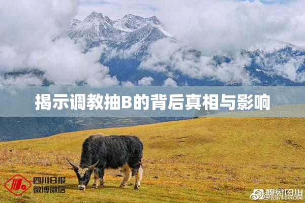 揭示调教抽B的背后真相与影响
