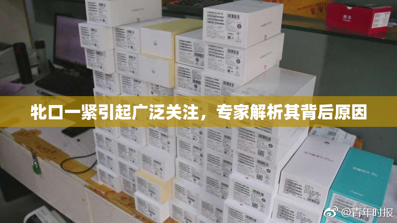 牝口一紧引起广泛关注，专家解析其背后原因