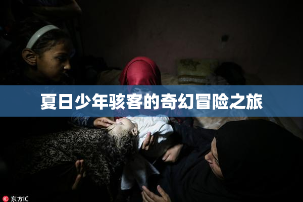 夏日少年骇客的奇幻冒险之旅