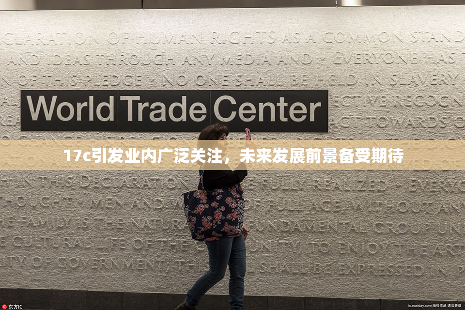 17c引发业内广泛关注，未来发展前景备受期待