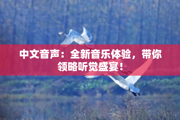 中文音声：全新音乐体验，带你领略听觉盛宴！