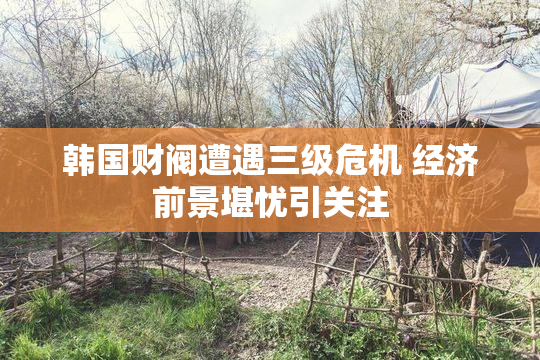 韩国财阀遭遇三级危机 经济前景堪忧引关注