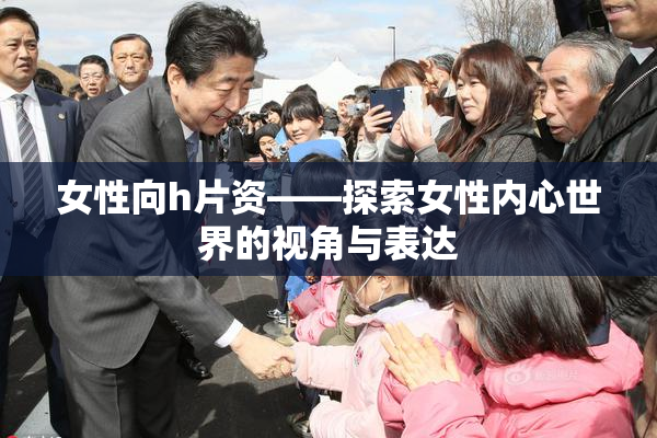 女性向h片资——探索女性内心世界的视角与表达