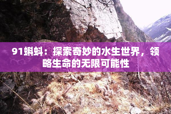91蝌蚪：探索奇妙的水生世界，领略生命的无限可能性