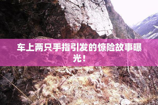 车上两只手指引发的惊险故事曝光！