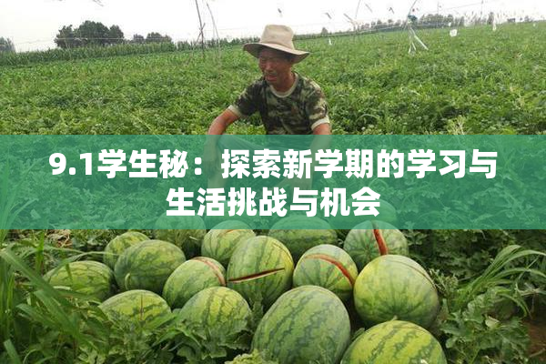 9.1学生秘：探索新学期的学习与生活挑战与机会