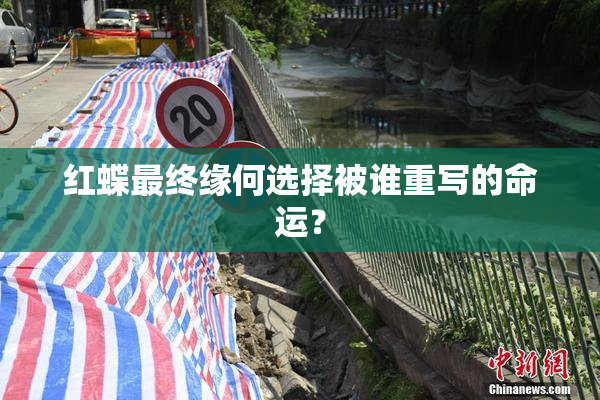 红蝶最终缘何选择被谁重写的命运？