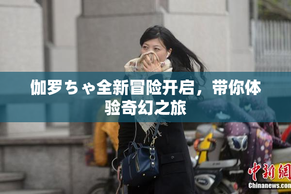 伽罗ちゃ全新冒险开启，带你体验奇幻之旅