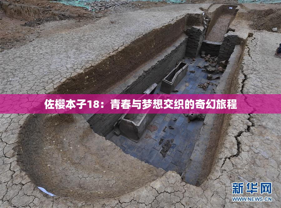 佐樱本子18：青春与梦想交织的奇幻旅程