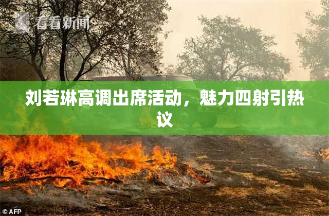 刘若琳高调出席活动，魅力四射引热议