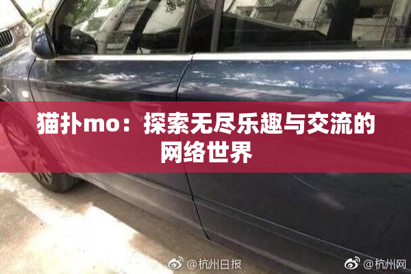 猫扑mo：探索无尽乐趣与交流的网络世界