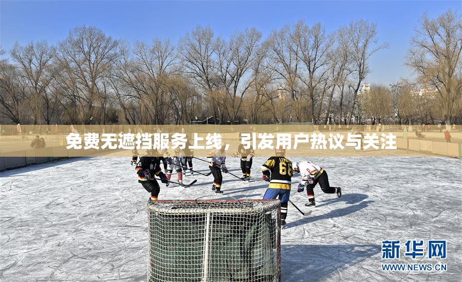 免费无遮挡服务上线，引发用户热议与关注