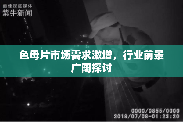色母片市场需求激增，行业前景广阔探讨