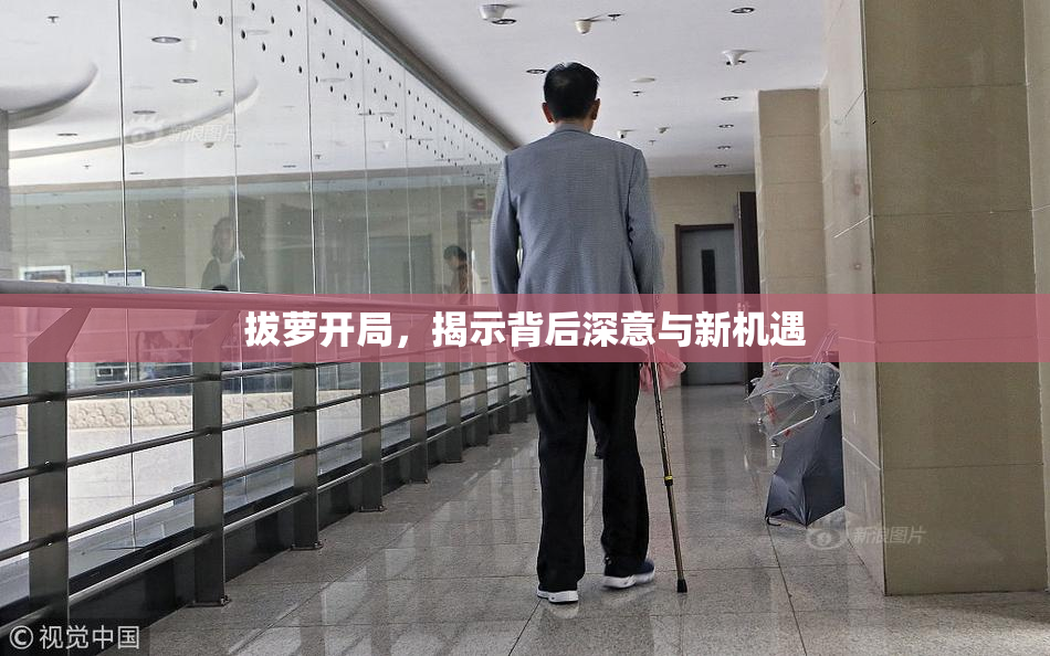 拔萝开局，揭示背后深意与新机遇
