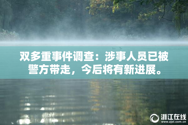双多重事件调查：涉事人员已被警方带走，今后将有新进展。