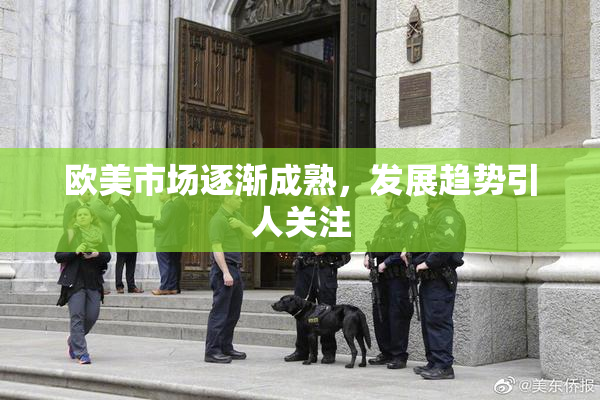 欧美市场逐渐成熟，发展趋势引人关注