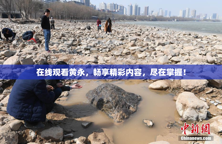 在线观看黄永，畅享精彩内容，尽在掌握！