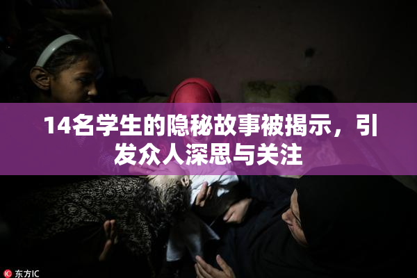 14名学生的隐秘故事被揭示，引发众人深思与关注