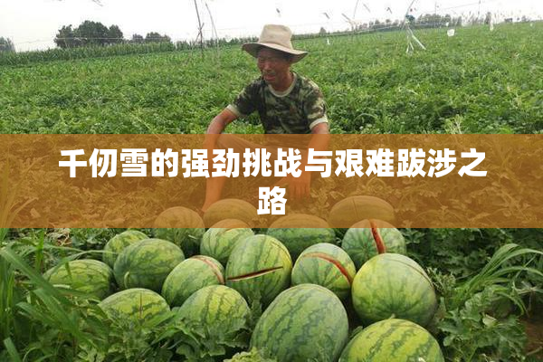 千仞雪的强劲挑战与艰难跋涉之路