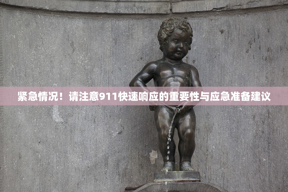 紧急情况！请注意911快速响应的重要性与应急准备建议