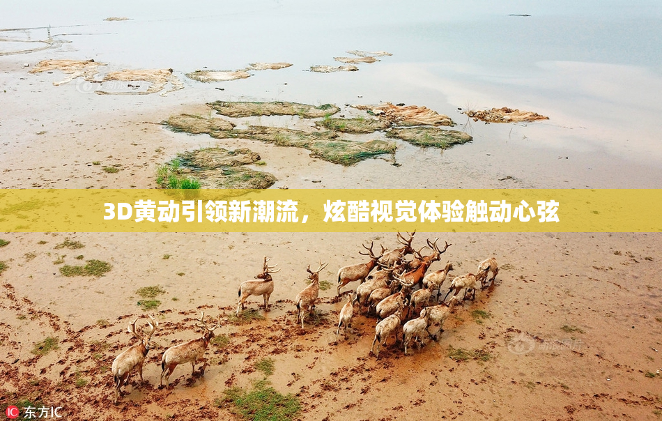 3D黄动引领新潮流，炫酷视觉体验触动心弦