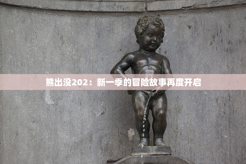 熊出没202：新一季的冒险故事再度开启