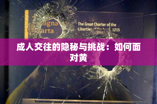 成人交往的隐秘与挑战：如何面对黄