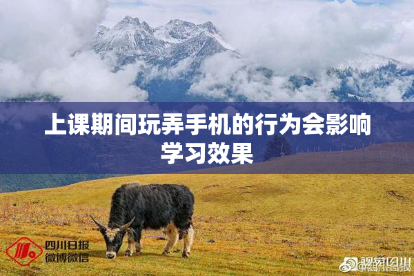 上课期间玩弄手机的行为会影响学习效果