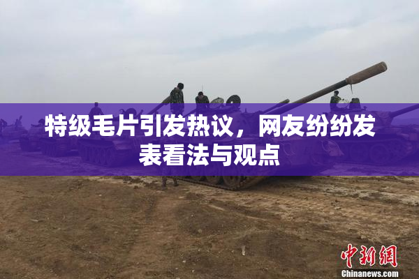 特级毛片引发热议，网友纷纷发表看法与观点
