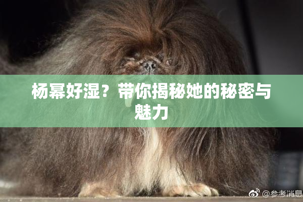 杨幂好湿？带你揭秘她的秘密与魅力